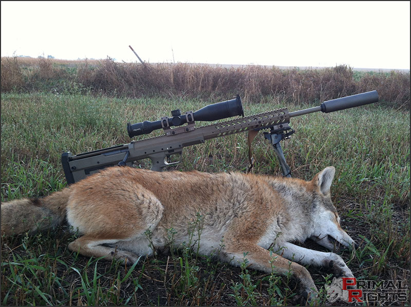 Coyote (Predators) Trapper's Special​ Package #3